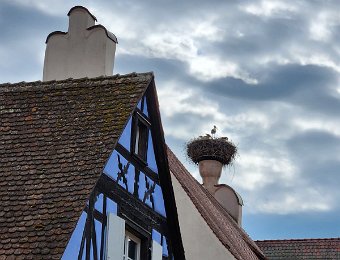 Riquewihr, France