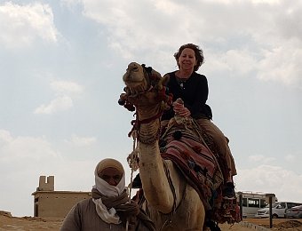 Camel Rides