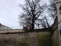 Another example of the wall that surrounds the city of Tallinn.