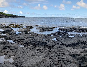 Punalu’u Black Sand Beach