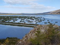 Puno - Lake Titicaca