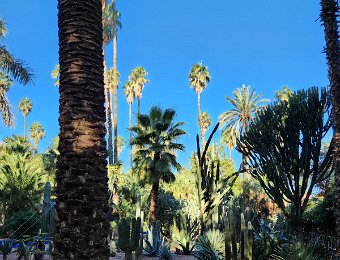 Majorelle Gardens