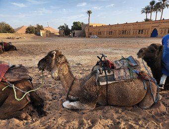 Merzouga (Sahara Desert)