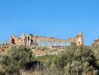 Volubilis (Roman Ruins)