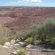 Petrified Forest