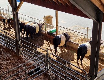 Aldermere Farm - Rockport, ME