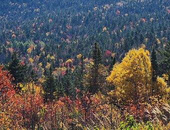 Kancamagus Scenic Byway, NH