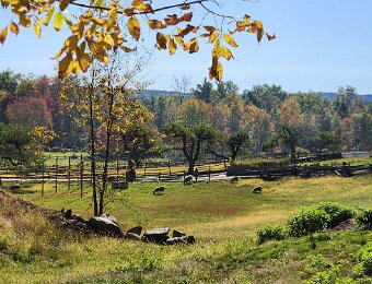 Old Strubridge Village, MA