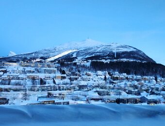 Narvik