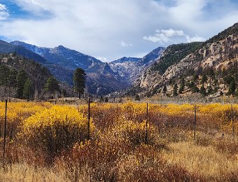 Moraine Park Meadows